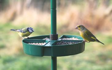 Cj Bird Buffet System - Selection Dish (attaches To Pole)